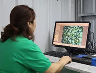 Inspection of Raw Materials